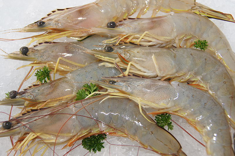 Queensland Raw Banana Prawns $17.60kg.....5kg Box - Seafood Warehouse